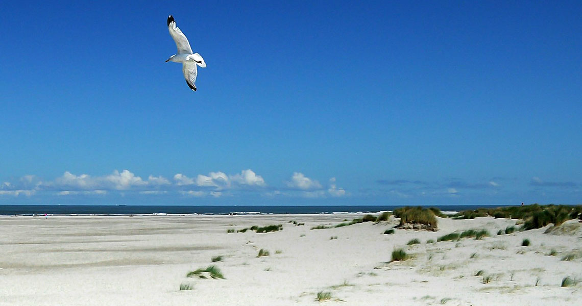 Luxuswohnungen-Sylt